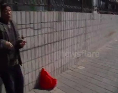 Trained BIRD catches coin in passerbys hands! AMAZING