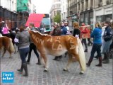 Cavaliers et poneys manifestent à Troyes contre la TVA à 20%