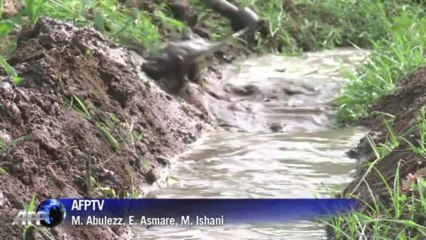 Egypte: un barrage sur le Nil inquiète les agriculteurs