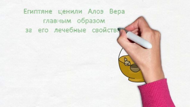 Пронесенное сквозь года или вновь об Алоэ Вера!