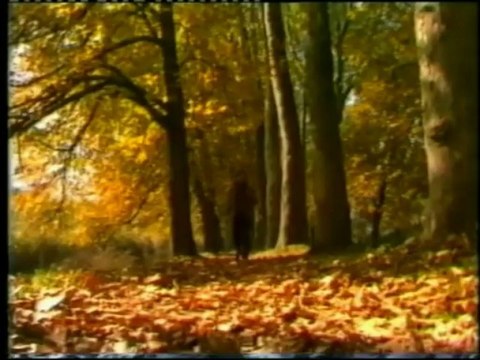 Halid Muslimovic - Mene Je Ucilo Vrijeme Spot