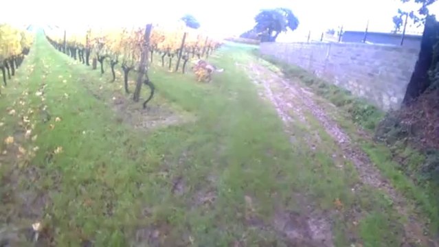 RECHERCHE UTILITAIRE EN GIRONDE