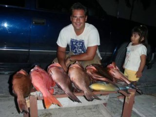 Black Dog Sardine Jig