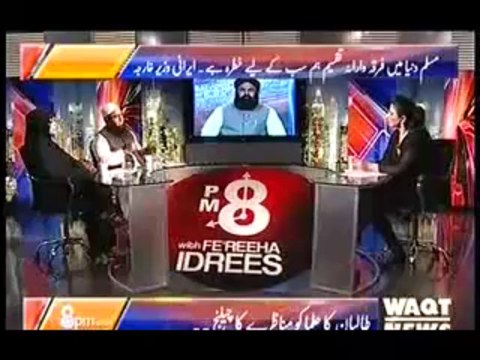 8pm with Fareeha (Kon Shaheed Hai Kon Nahi… Yeh Behas Kyun.. ) – 13th November 2013 - Segment1(00_01_46.047-00_46_43.900)