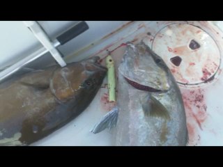 Black Dog Sweet Drop Jig