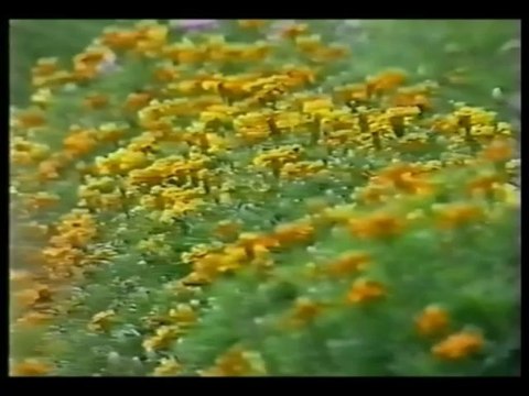 Hanka Paldum - Ne Budi Me Spot 1995