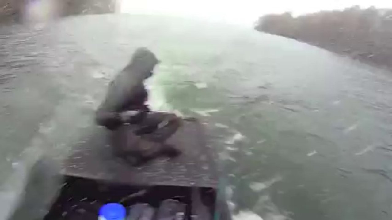 Lac de Pareloup le 15/11/13