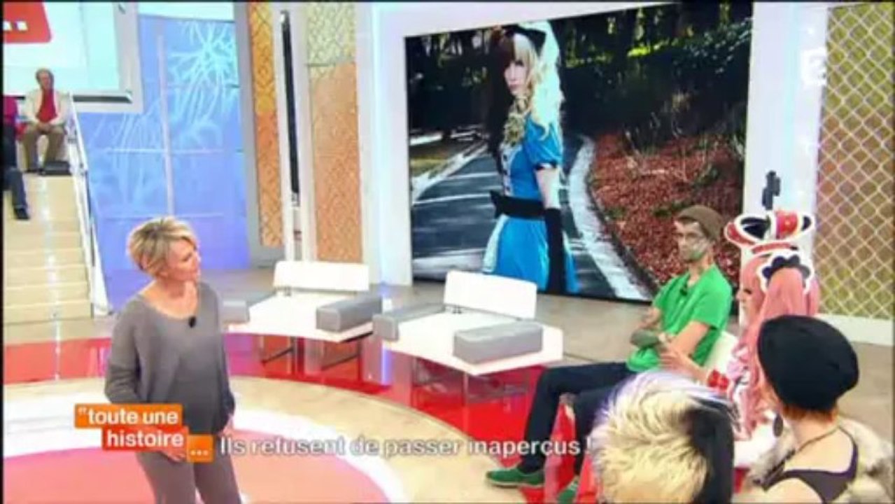 1114004238DVB-TFrance2