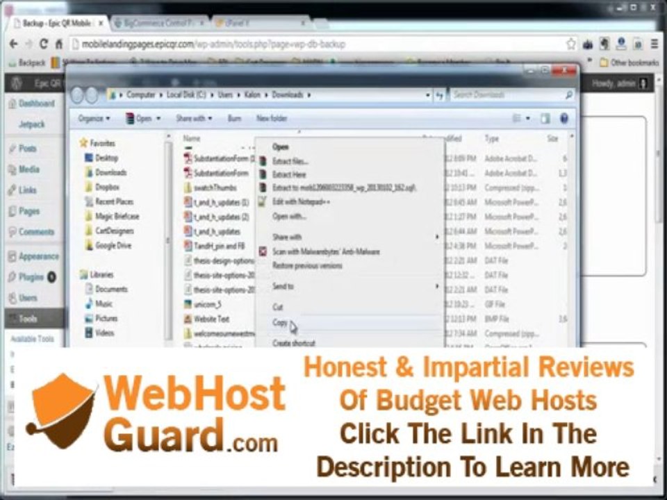 Web Hosting India - Migrate Wordpress Website to new host