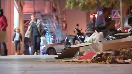 Sindicatos de Tragsa rechazan las "artimañas" de Botella para limpiar Madrid