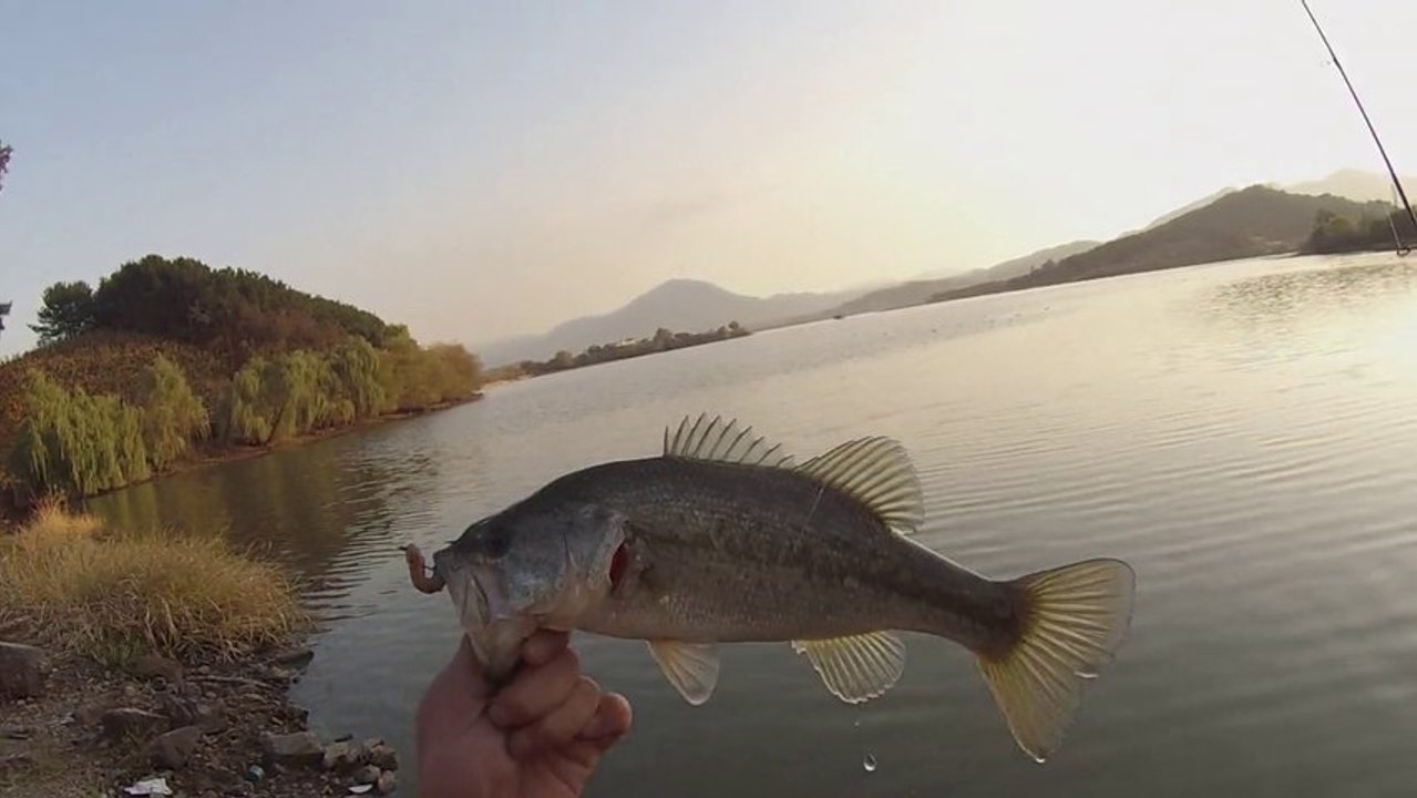 배스 낚시 주남지 조행 12째 수 Bass Fishing JuNam Korea 2013.11.13