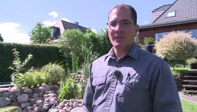 Die beste Pflanzzeit für Blumen, Sträucher, Bäume, Gartenbonsai? Frühling, Sommer, Herbst?