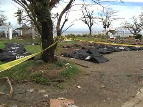 Typhon Haiyan: dans les alentours de Tacloban la désolation la plus totale - 14/11