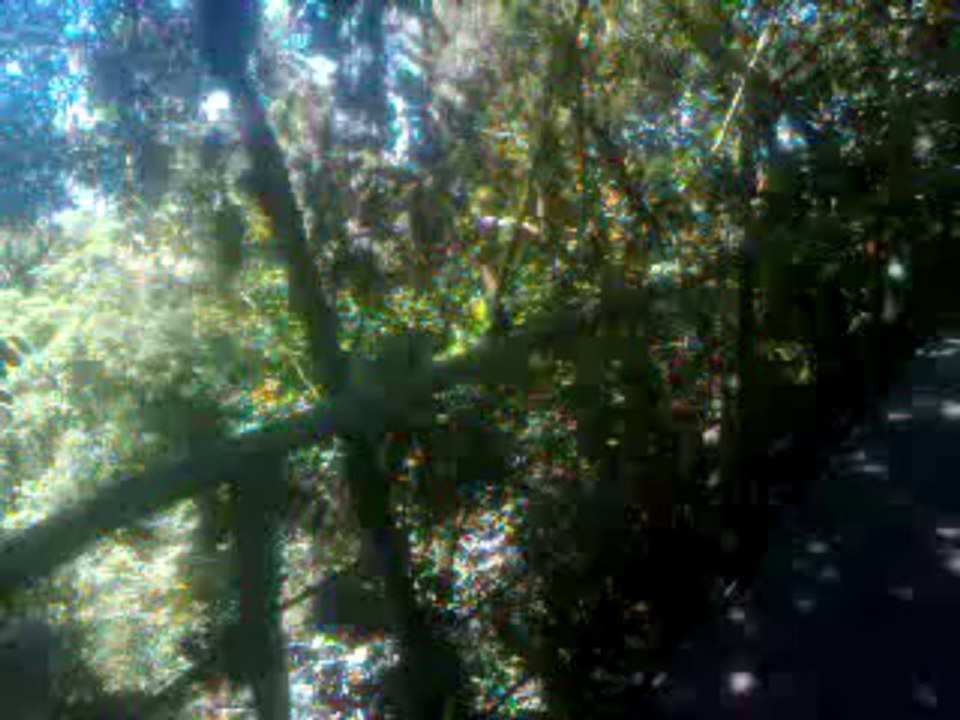 PARECE UMA VIAGEM AO PANTAMAL DE MATO GROSSO,MAS NÃO É.NO FINAL , O  DETALHE