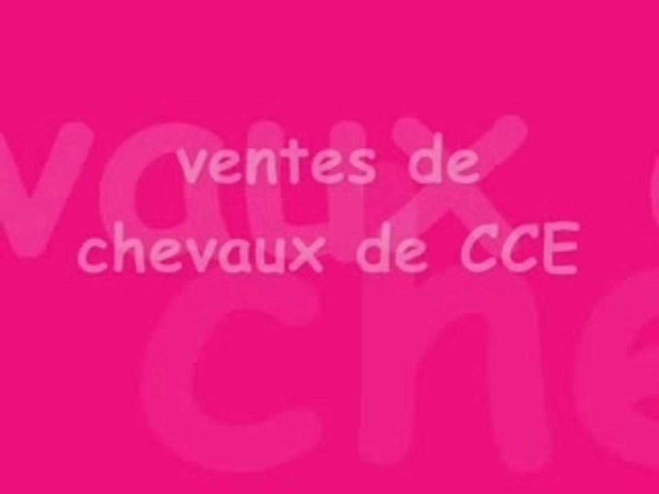 Coupe du monde (4)