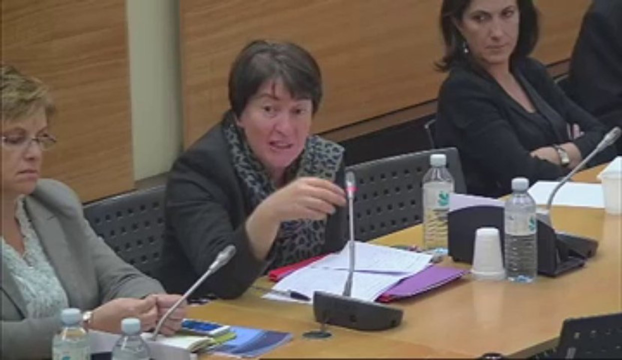 Assemblée Natonale Commission Spéciale chargée d'examiner la proposition de loi renforçant la lutte contre le système prostitutionnel