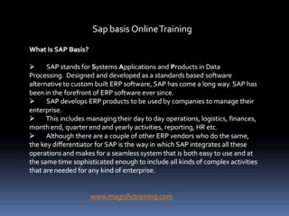 Sap basis Online Training