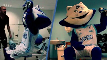 chaco-chorale-chalon-20131116