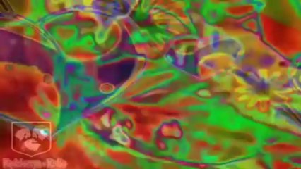 SMOKIE - Naked Love®