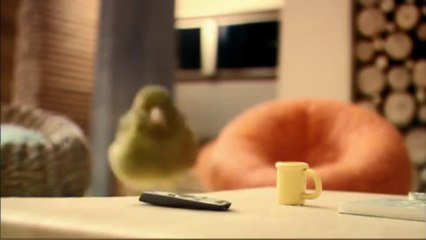 La Maison d'un Oiseau... Pub énorme pour la marque ROBINSON