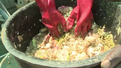 Afrique du Sud:des bouteilles en plastique illuminent les foyers