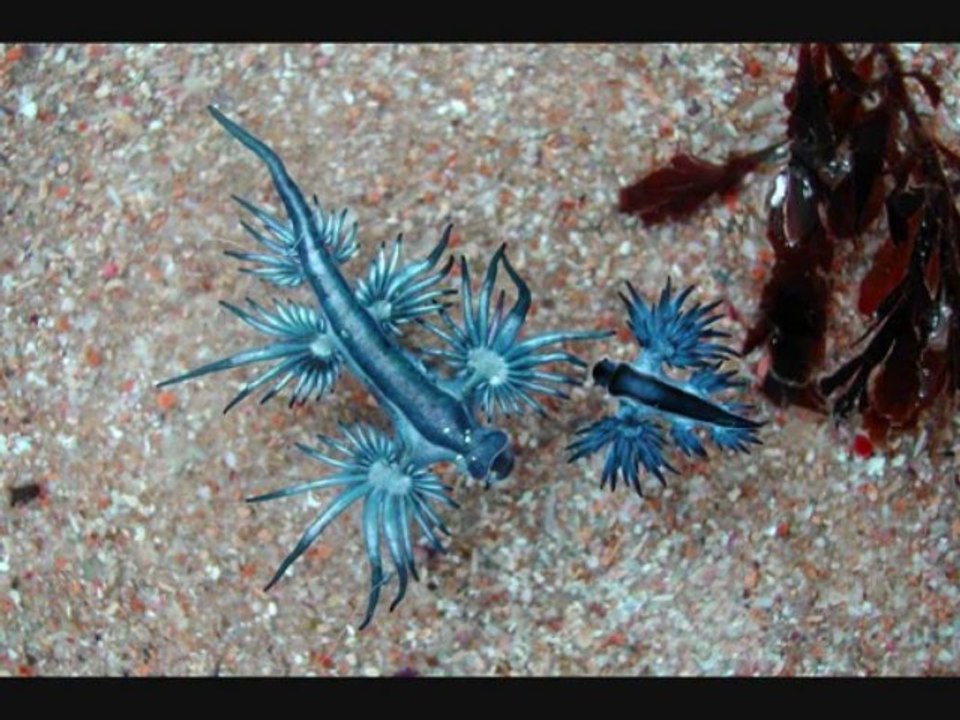 Was ich dir sagen wollte...