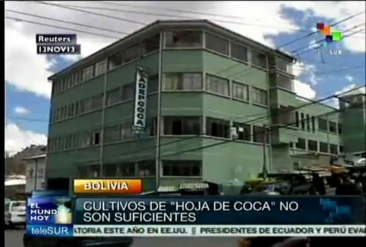 Bolivia: cultivos de hoja de coca, insuficientes para consumo interno