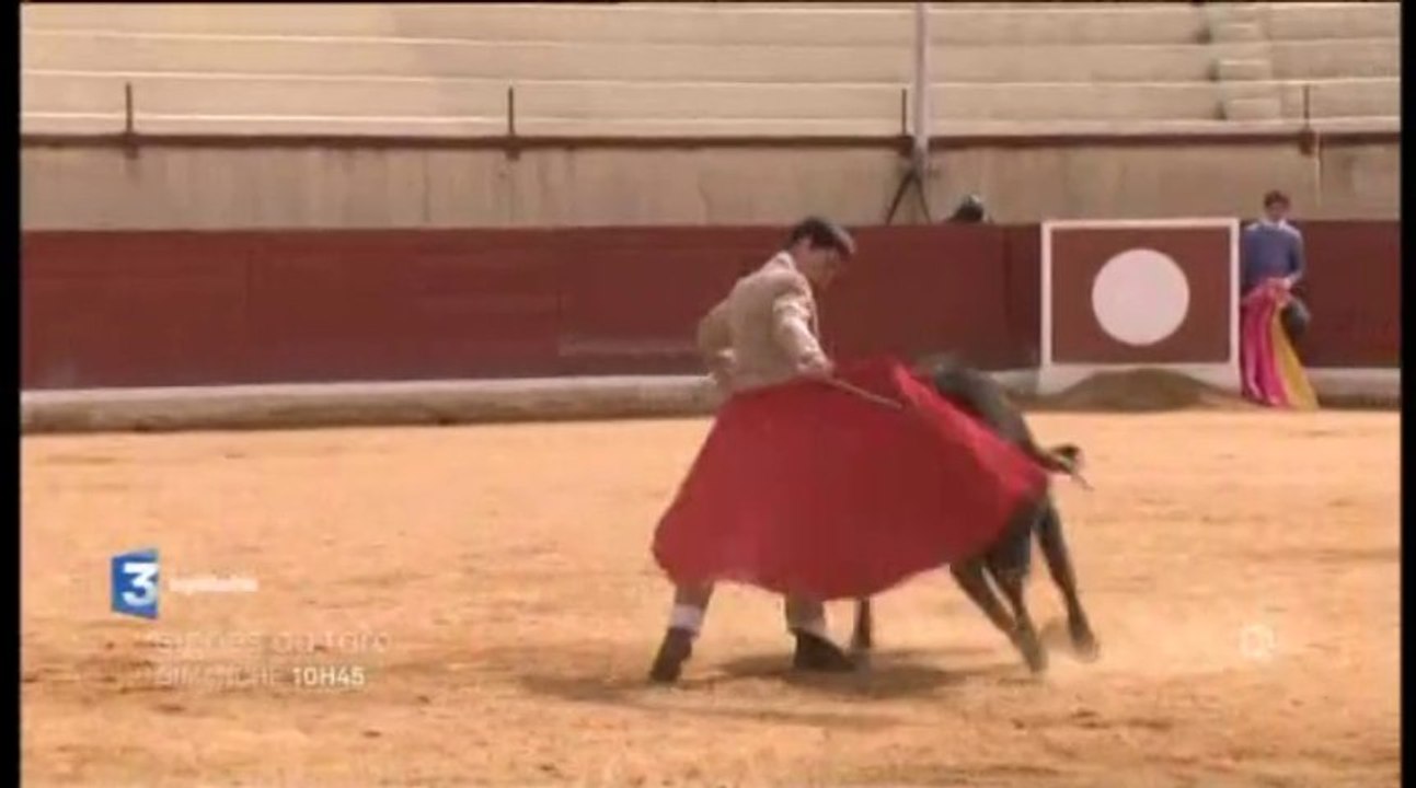 Signes du Toro N°72