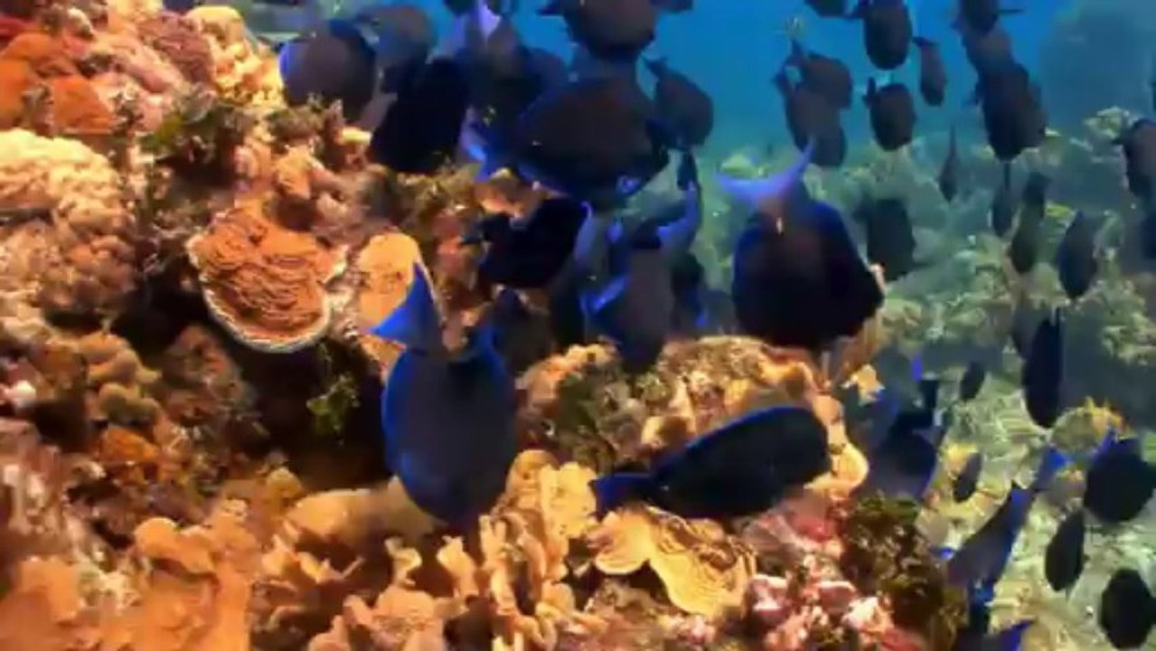 Unseen World