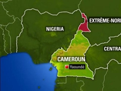 Enlèvement au Cameroun: les assaillants étaient venus pour l'argent - 14/11