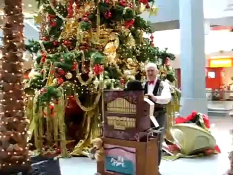 Animation musicale pour marché de noel.