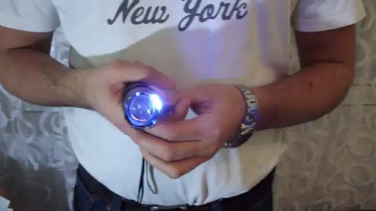 Flashlight and stun gun