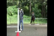 Horse Competition at Tierras Nativas Farm in Guanacaste, Costa Rica