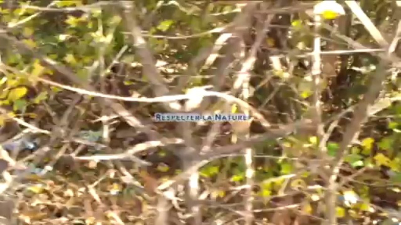 Tout le monde fait sa BA sur ma-b-a.org