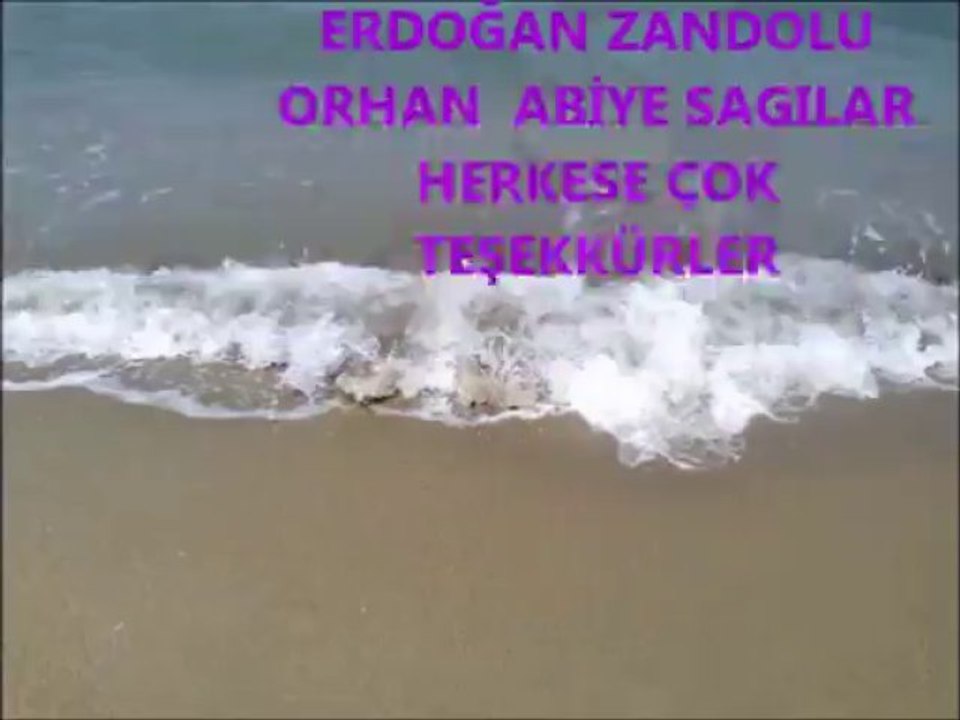 ERDOĞAN ZANDOLU İKİ ELİN KANDA OLSADA GEL