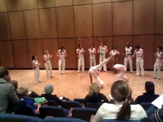 Brazilian Capoeira Demonstration!