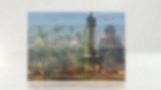 Guar Gum powder supplier