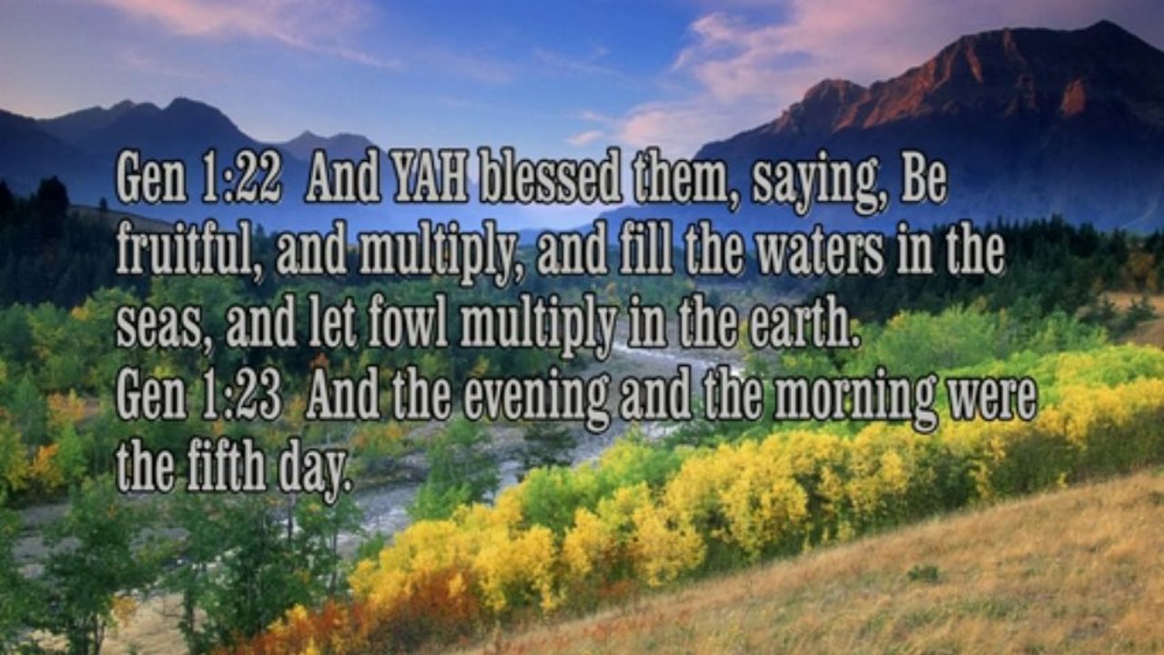 Genesis 1 THE LIGHT and the 6 days of creation