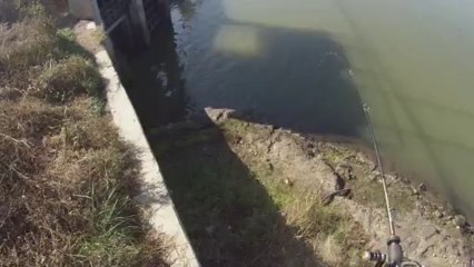 창원 산남지 3545 2번째 스베 11.13.2013 GoPro Bass Fishing