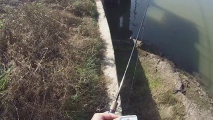 창원 산남지 3569 말 타는 분 쩐다 ㅋ 11.13.2013 GoPro Bass Fishing