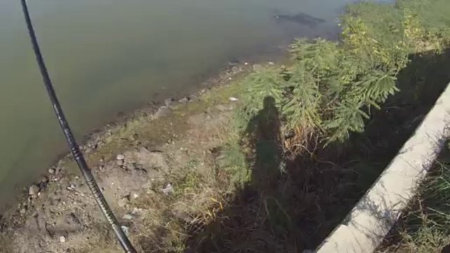 창원 산남지 3575 후셋 미스 11.13.2013 GoPro Bass Fishing