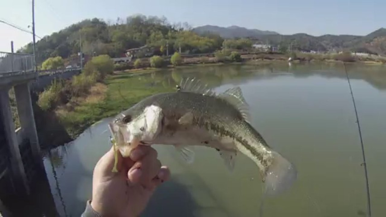 창원 산남지 3584 5번째 연타 ㅋ 11.13.2013 GoPro Bass Fishing