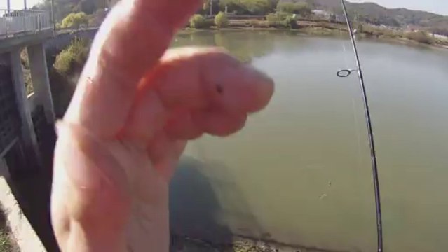 창원 산남지 3605 9번째 스프릿 11.13.2013 GoPro Bass Fishing