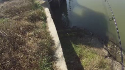 창원 산남지 3606 10번째 11.13.2013 GoPro Bass Fishing