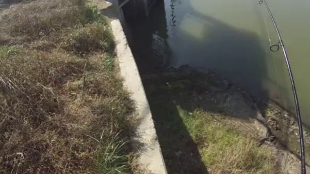 창원 산남지 3606 10번째 11.13.2013 GoPro Bass Fishing