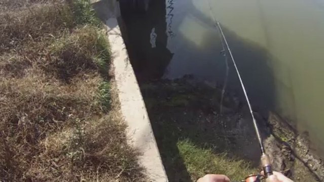 창원 산남지 3619 물었는데 몰랐음 11.13.2013 GoPro Bass Fishing