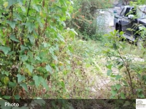 Terrain à vendre, Bras Panon (974), 128400€