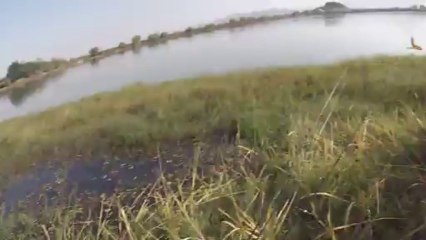 창원 산남지 3668 더 아래로 이동 11.13.2013 GoPro Bass Fishing