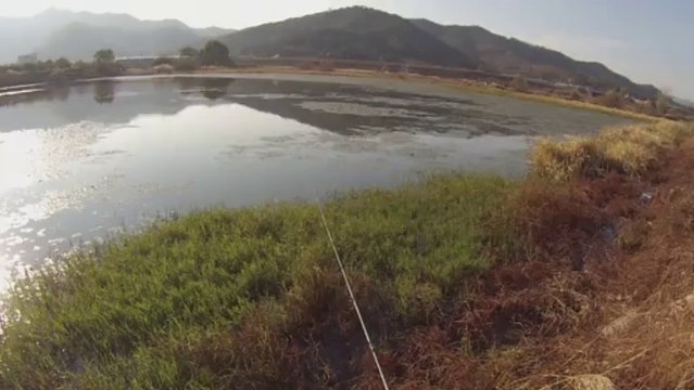 창원 산남지 3723 마름 공략 시도 11.13.2013 GoPro Bass Fishing
