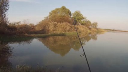 창원 산남지 3733 샤또 전화하면서 ㅋ 11.13.2013 GoPro Bass Fishing